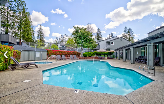 The Brookside Pool