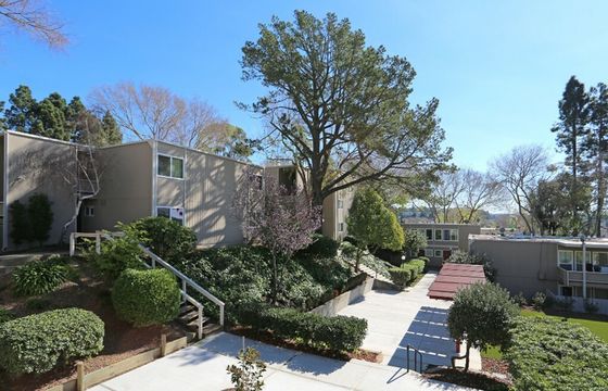 Apartment complex with modern buildings, landscaped gardens, and a central pathway lined with trees and shrubs under a clear blue sky.