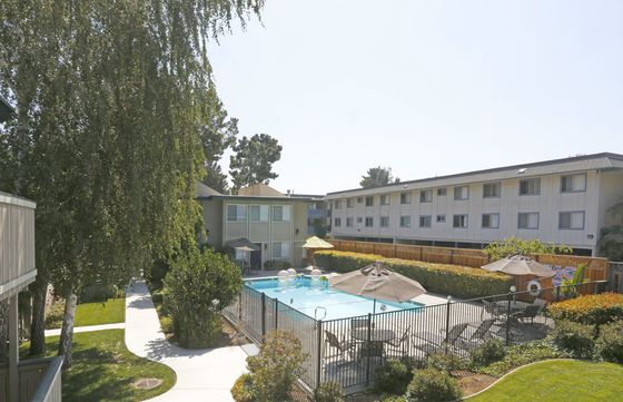 Apartment complex with a fenced swimming pool, surrounded by sunbeds and umbrellas. Pathways lead through well-maintained green gardens. Tranquil ambiance.