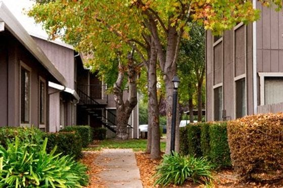 Exterior photo of property lines by lush green trees