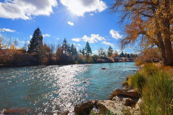 River views available!