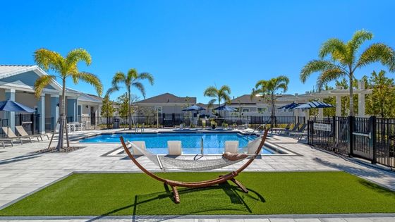 Beautiful sunny pool area with palm trees and hammocks, surrounded by modern homes