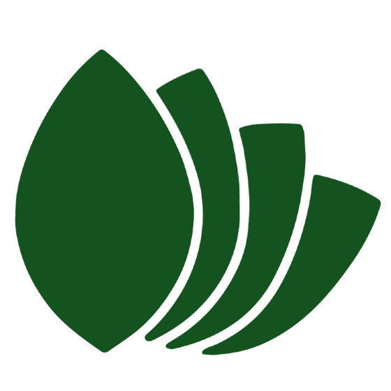 Elegant logo design featuring a series of overlapping green leaves in a clean, minimalist style.