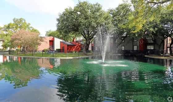 Community Pond