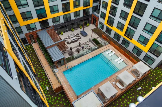 Vibrant apartment courtyard with a stunning pool, stylish lounge area, and lush greenery, perfect for relaxation and socializing.