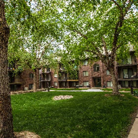 Stony Courtyard
