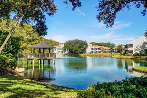 View of dock and pool