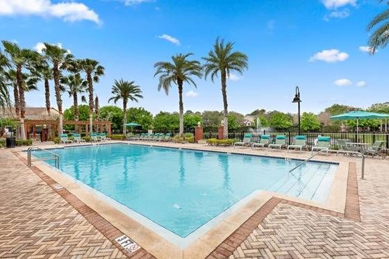 Swimming pool with sundeck and palm trees