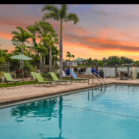 Resort style pool with sundeck green lounge chair, and palm trees
