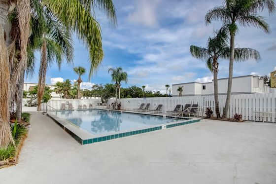 Inviting outdoor pool area surrounded by lush palm trees and comfortable lounging chairs, offering a serene escape under a bright blue sky.