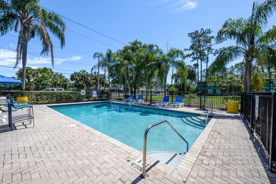 Inviting outdoor pool area with sun loungers, surrounded by lush palm trees and a clear blue sky.