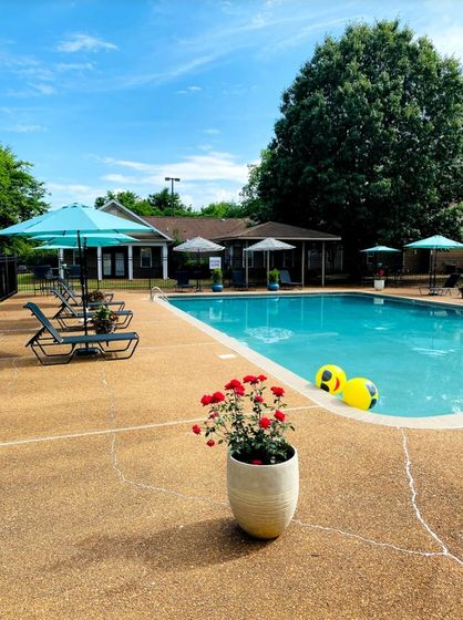 Inviting outdoor pool area with comfortable lounge chairs, vibrant umbrellas, and blooming red flowers, perfect for relaxation.