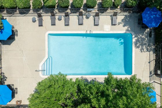 Inviting outdoor swimming pool surrounded by lush greenery and comfortable lounge chairs, perfect for relaxation and leisure.