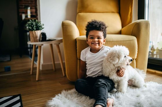 Charming living space with a cozy ambiance showcasing a joyful child and fluffy white dog on a soft rug next to a stylish yellow armchair.