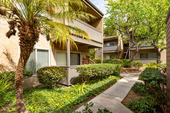 Exterior walkway at Elan Seacrest featuring tropical palm trees and well-maintained lush landscaping.