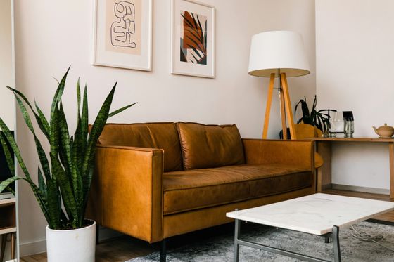 brown leather sofa with plant on one side and lamp on the other