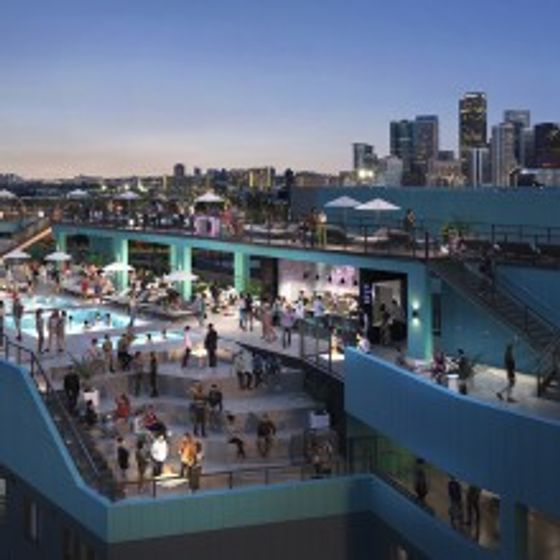X Denver Property