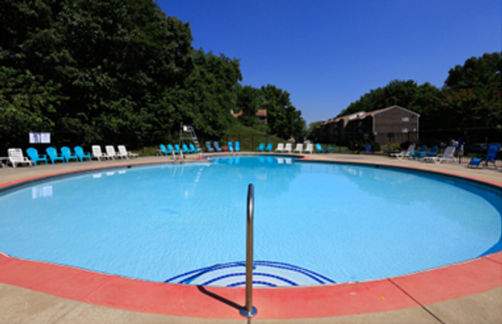 Inviting circular outdoor swimming pool surrounded by lush trees, with numerous poolside loungers under a clear blue sky.