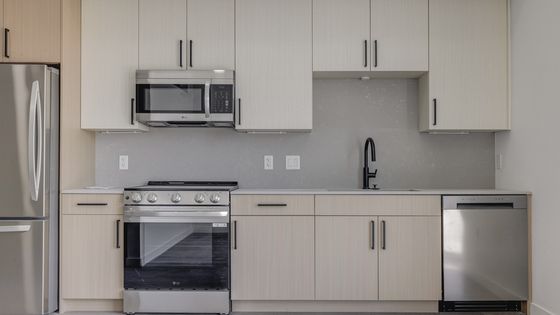 Modern apartment kitchen with stainless steel appliances, quartz countertops, custom cabinetry, and contemporary finishes at Bissinger & Co.