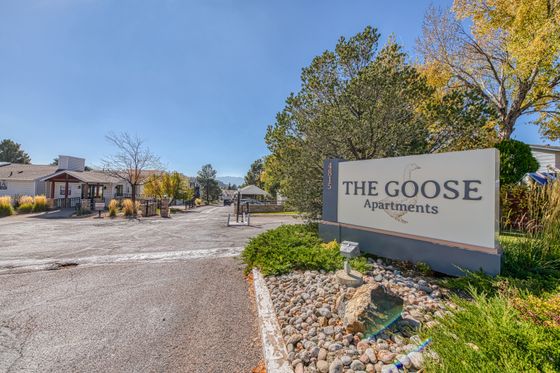The Goose