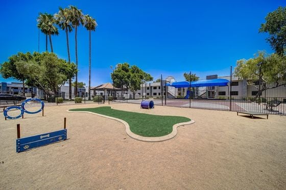 Rise at Estrella Park Dog Park