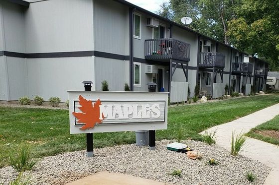 maples sign
