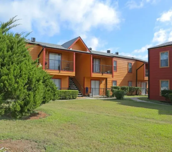 Ashford Santa Cruz