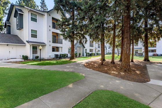 The Hazelwood Apartments Modern Building Exterior with Lush Landscaping and Mature Trees