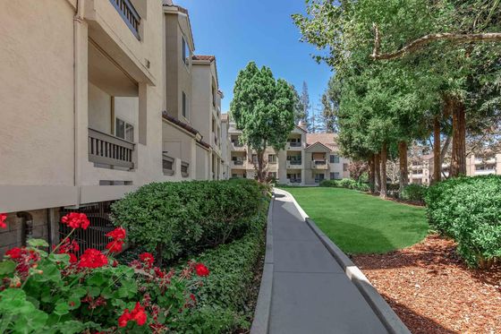Paloma Vista Apartment Homes Walkway to Building Exterior with Lush Landscaping