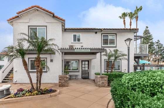 The Enclave at Town Square Apartments Leasing Office Entrance with Palm Trees and Tile Walkway