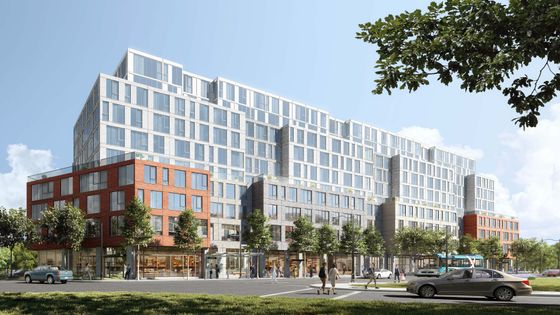 GEO Kingston - Apartments For Rent