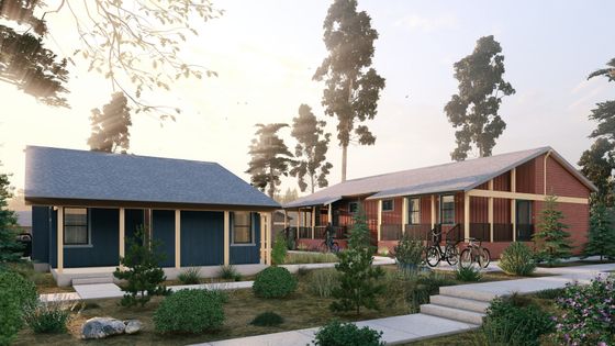 Charming suburban homes with modern design, nestled amidst lush greenery and framed by towering trees, creating a serene residential haven.