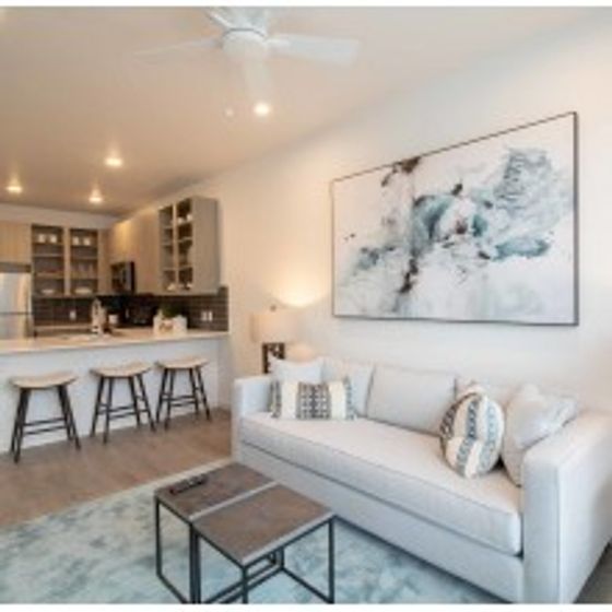 Modern living room located next to the kitchen