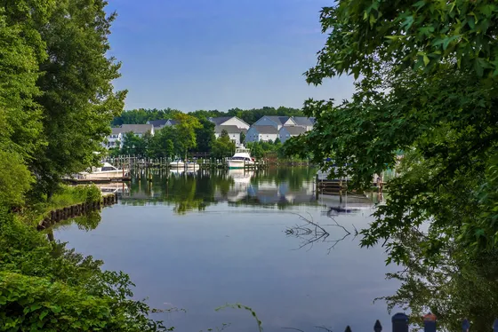 Tranquil waterfront view featuring modern townhouses, lush greenery, and a serene marina with boats docked.