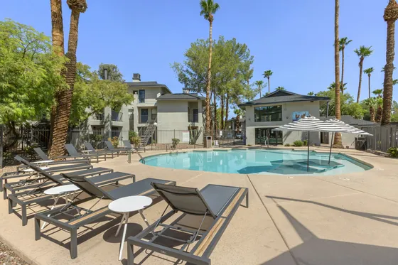 Resort-style pool with sun loungers and palm trees at 255 North apartments near Downtown Tucson, AZ