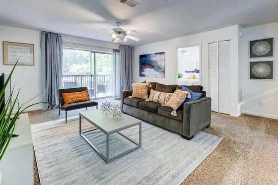 Furnished living room