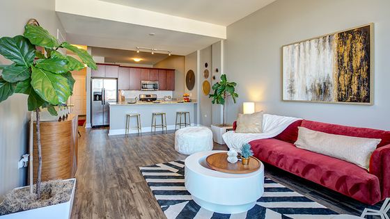 Furnished living room