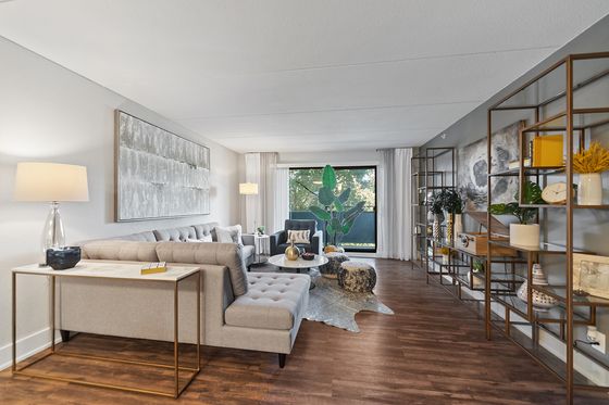 Furnished living room