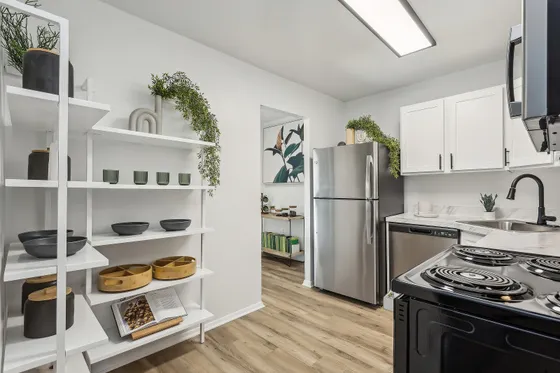 Modern kitchen with sleek stainless steel appliances, white cabinetry, and stylish open shelving, accented with plants and decorative items for a fresh, contemporary look.
