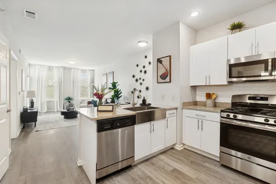 Modern open-concept kitchen and living area featuring stainless steel appliances, elegant cabinetry, and bright natural lighting.