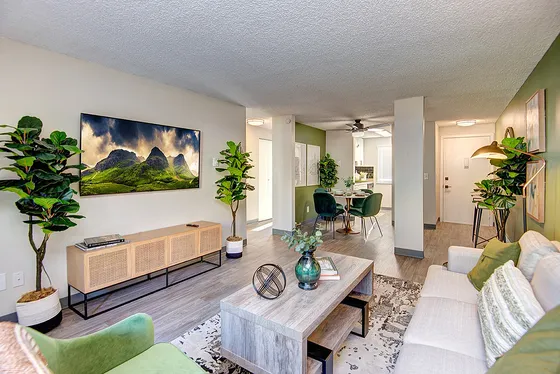 Inviting modern living room with stylish decor, vibrant greenery, and open dining area in a cozy apartment setting.