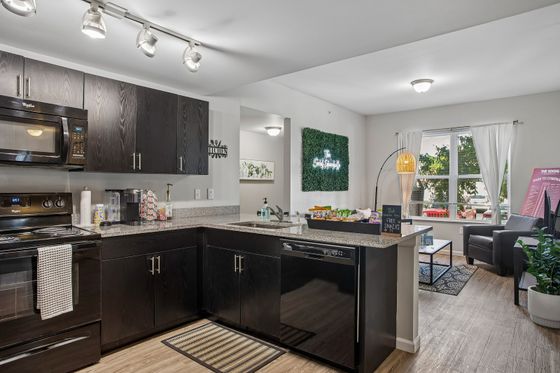 Modern kitchen and cozy living room featuring sleek dark cabinetry, stainless steel appliances, and bright natural light from large windows.