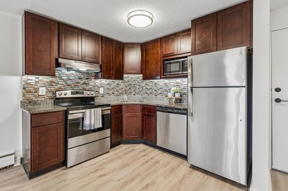 Modern Kitchen Interior