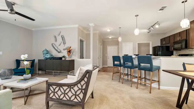 furnished kitchen and living room of apartment