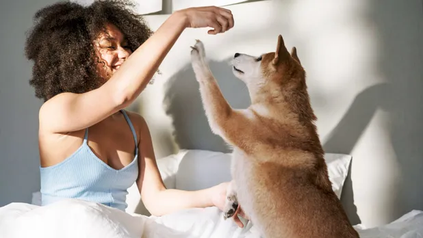 woman playing with dog in bed
