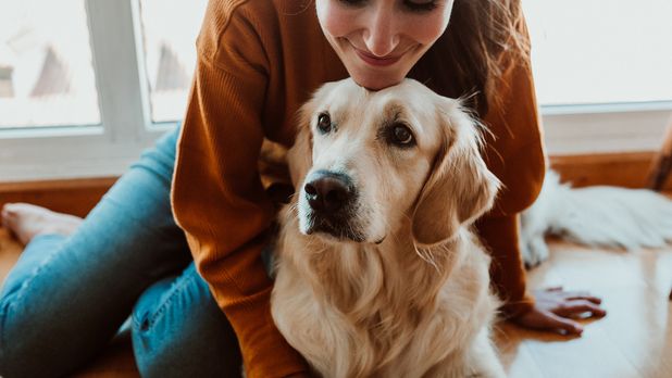 Pet-Friendly Apartments in Tampa