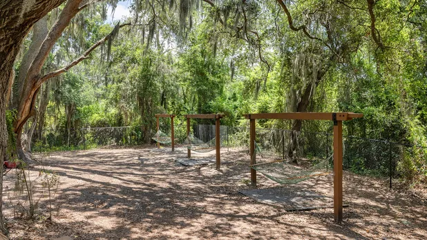 Hammock area under the trees