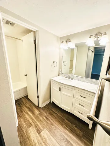 Bright bathroom with modern fixtures and elegant wood flooring.