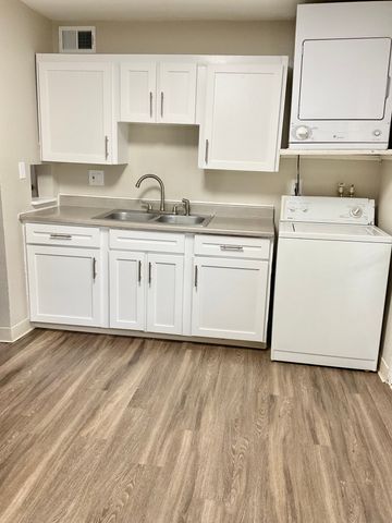 Compact modern kitchenette with white cabinetry, double sink, and integrated washer-dryer unit.