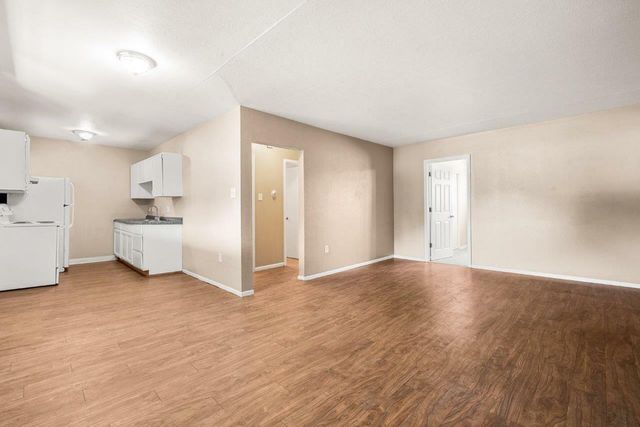 Open-concept apartment with wooden flooring and a compact kitchen area.